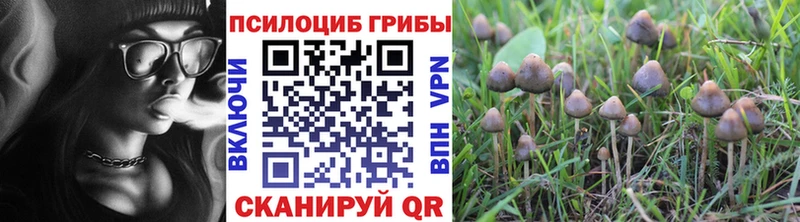 даркнет сайт Бавлы Псилоцибиновые грибы прущие грибы